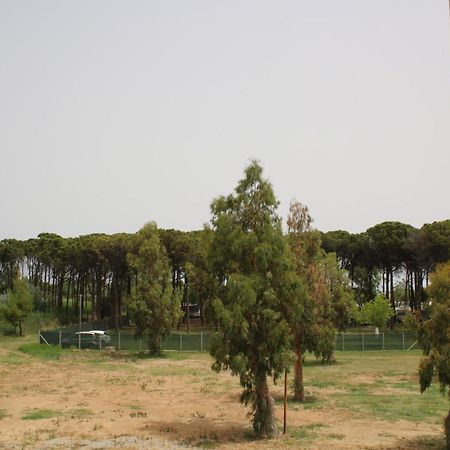 Levante Marina di Schiavonea Ngoại thất bức ảnh
